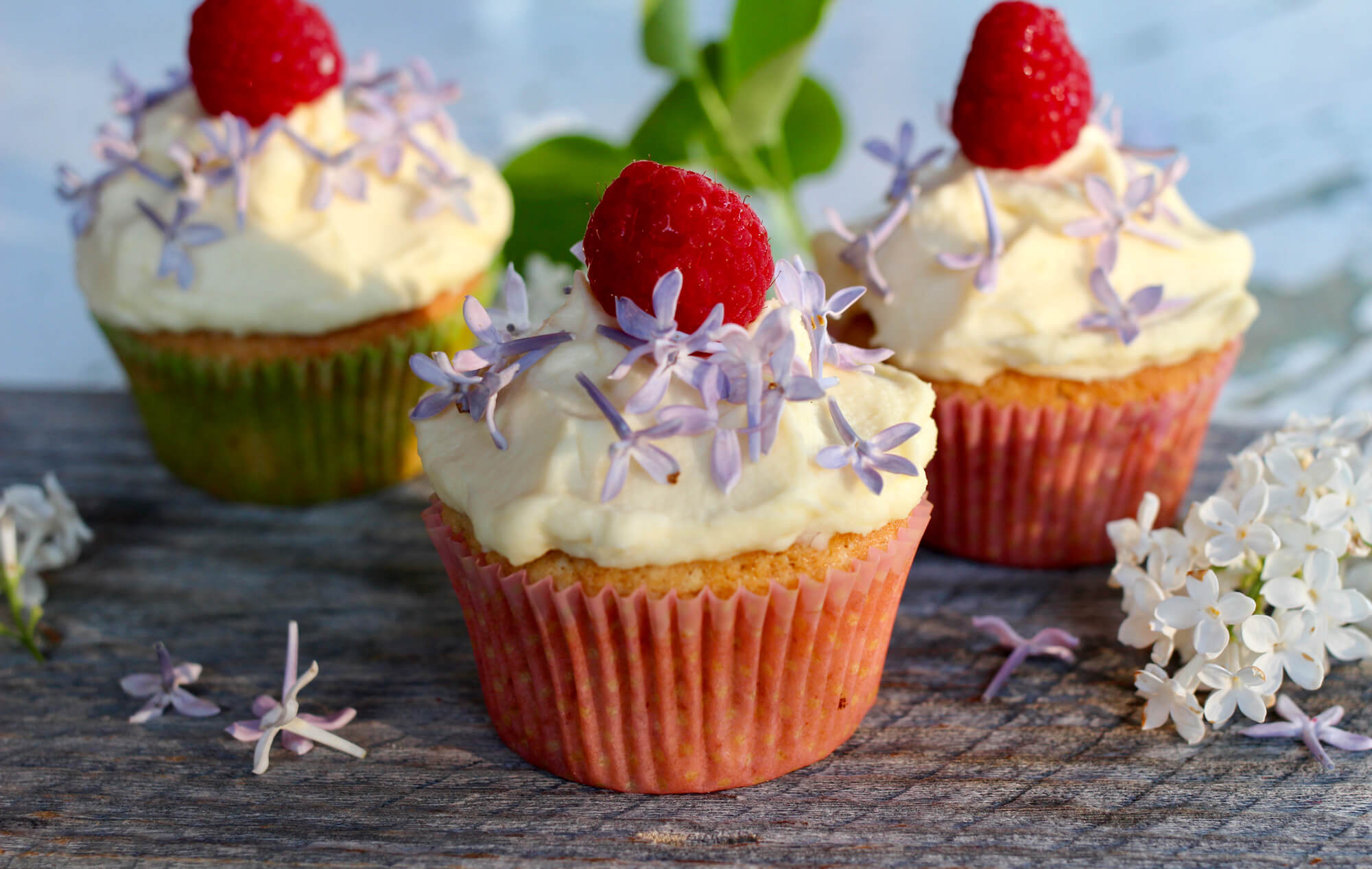 Peruna cupcake